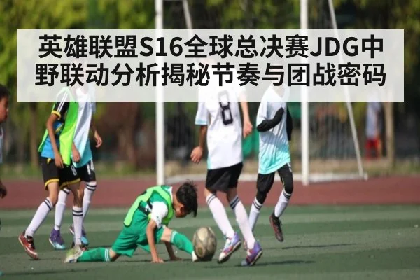 英雄联盟S16全球总决赛JDG中野联动分析揭秘节奏与团战密码