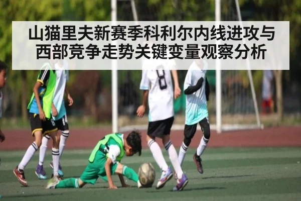 山猫里夫新赛季科利尔内线进攻与西部竞争走势关键变量观察分析